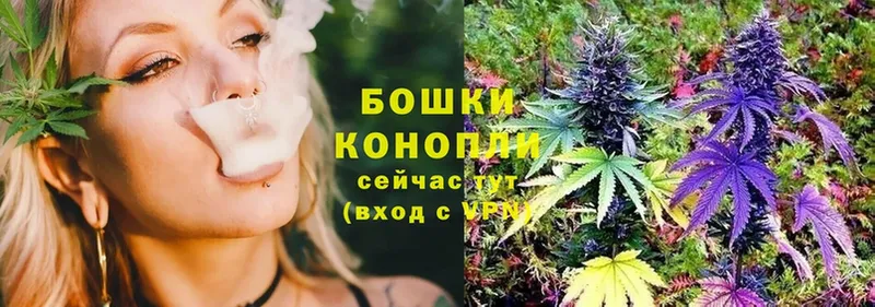 Канабис OG Kush  купить   Оленегорск 